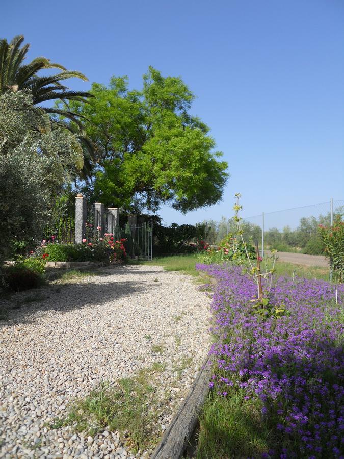 La Aragonesa Guest House Marmolejo Luaran gambar